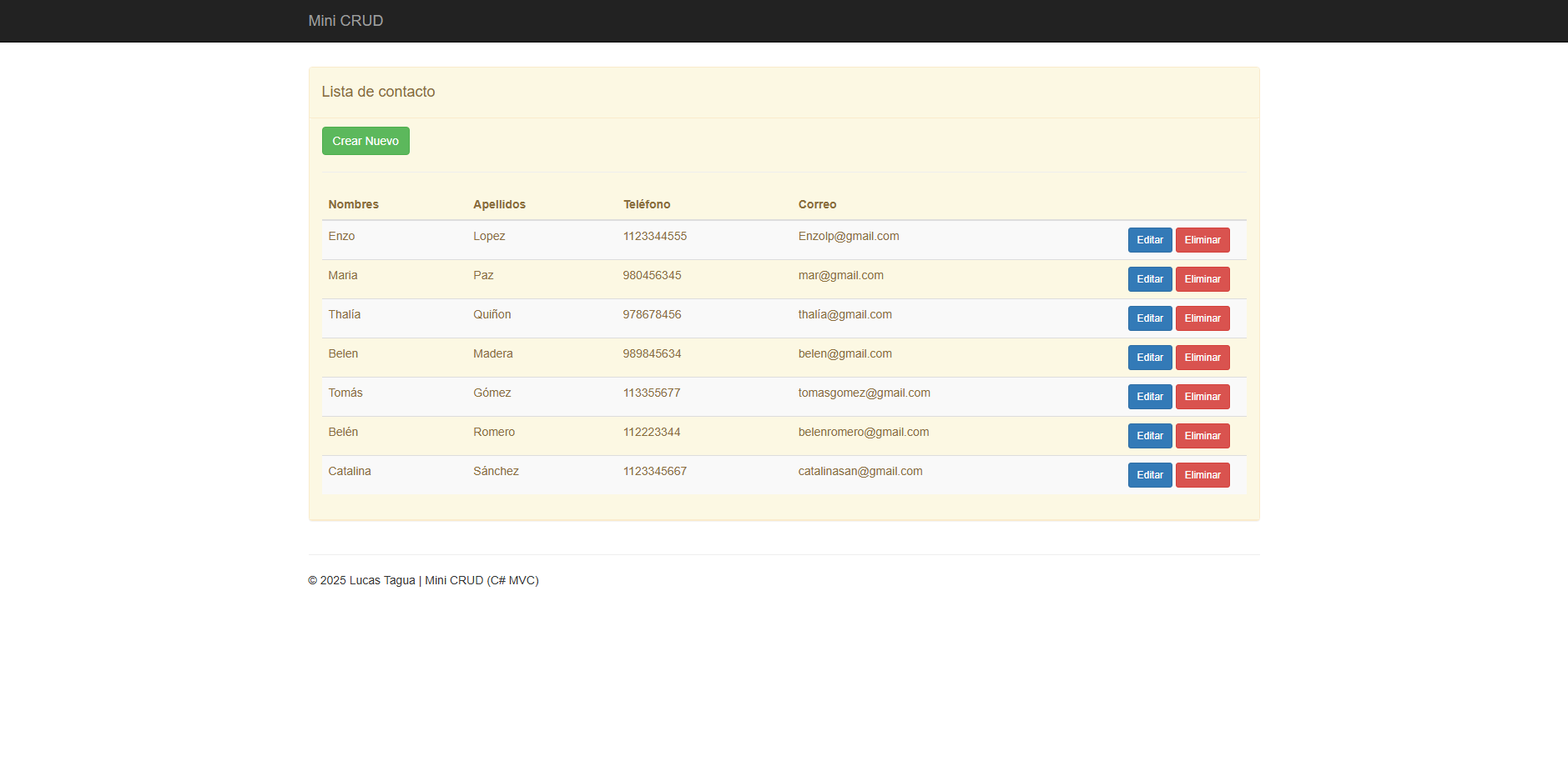 Mini CRUD Screenshot